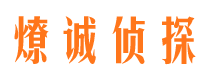 边坝侦探